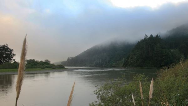 Уровень воды стабилизировался на большинстве рек Удмуртии